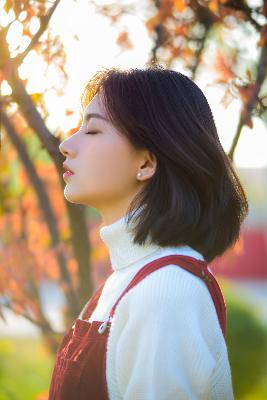 三年片在线观看免费高清版中国电视剧在线看免费版完整
